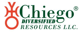 Chiego Group Logo green icon